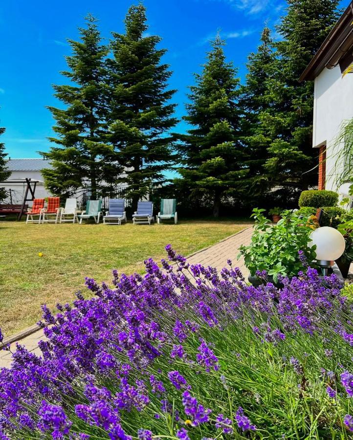 Apartamenty Ostoja ウェバ エクステリア 写真